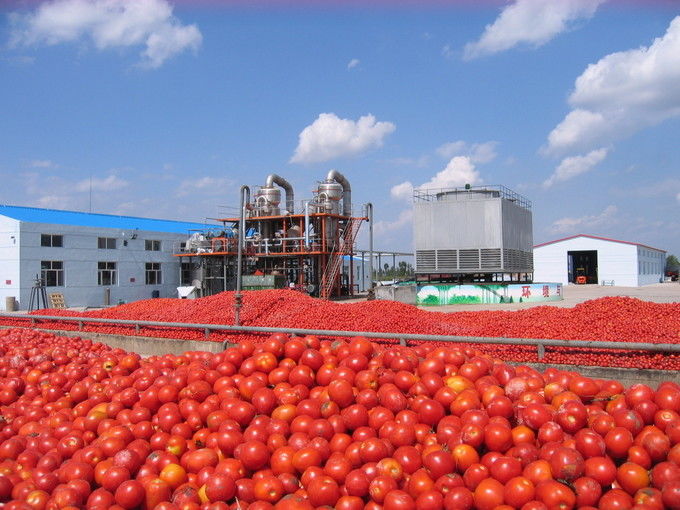 Arkhum (Tianjin) Health Technology Co., Ltd. 업체 생산 라인